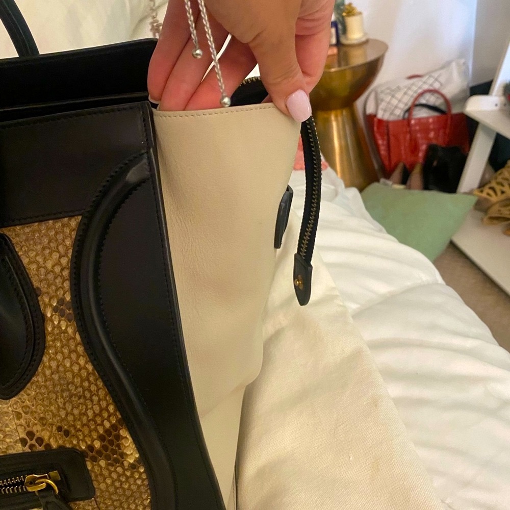 Celine Python 🐍 Handbag - Picture 4 of 13
